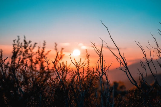 Sunrise Photography: 7 Tips for Taking Better Sunrise Photos - Print Peppermint