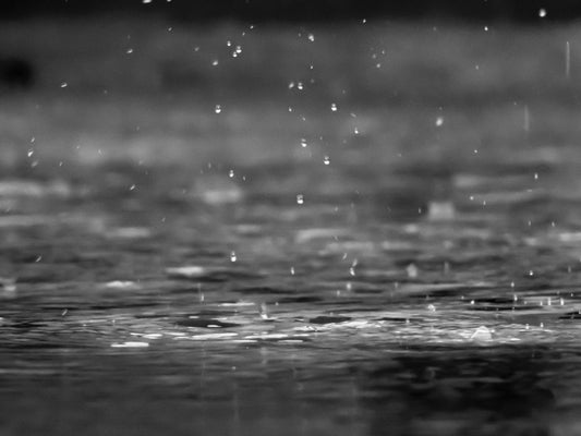 Tips for Creating Beautiful Images in the Rain - Print Peppermint