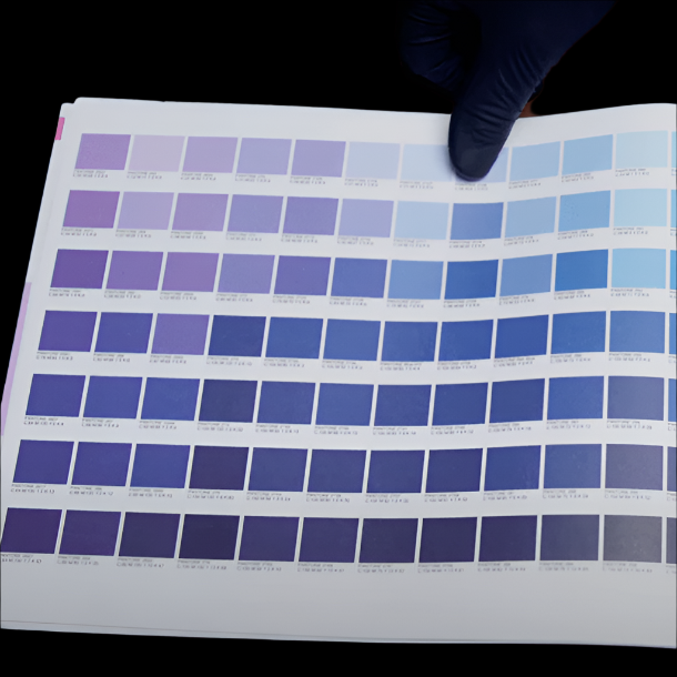 print - 4-Color Process Color Reference Guide Book - Print Peppermint - custom