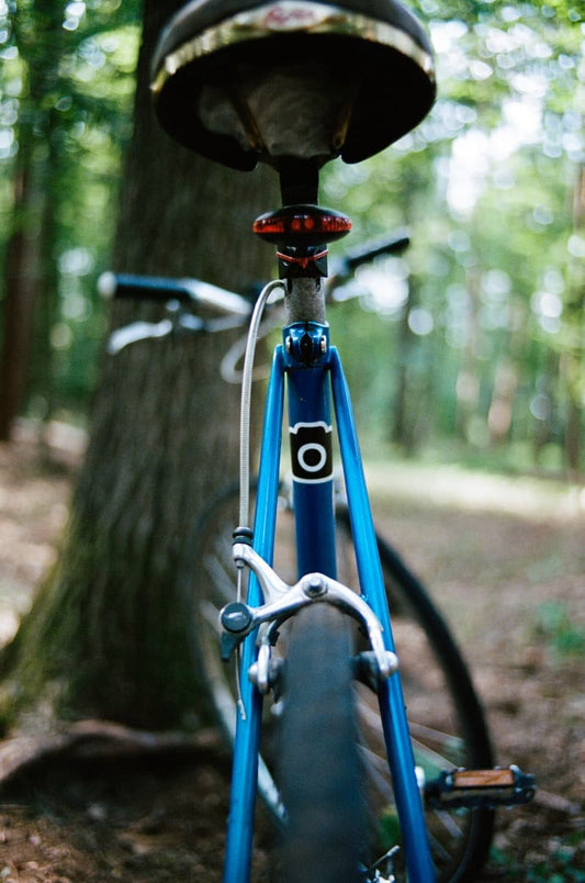 print - Bike Stickers - Print Peppermint - custom