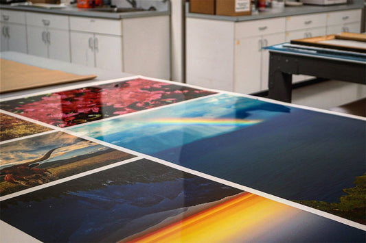 Creating Digital Prints That Dazzle Your Audience - Print Peppermint